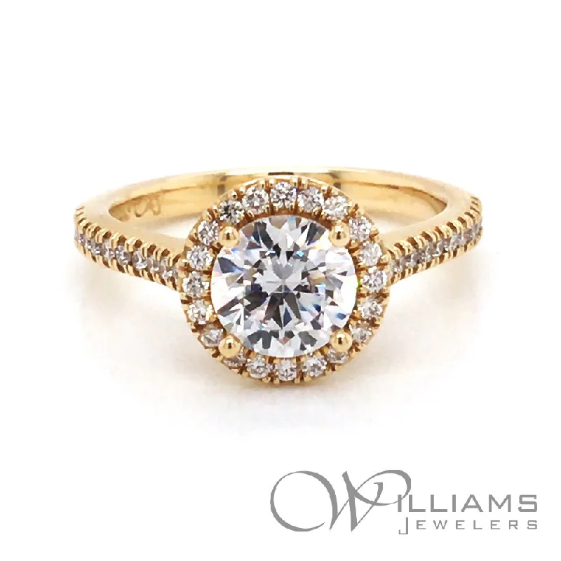 unique engagement rings with fancy diamonds -Williams Elevation 14 Karat Diamond Engagement Ring